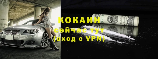 соль ск Богородск