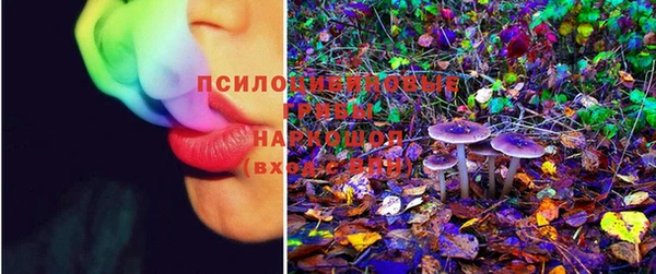 кокс Богданович