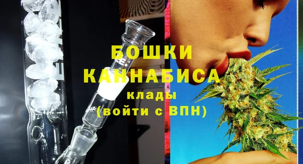 ГАЛЛЮЦИНОГЕННЫЕ ГРИБЫ Бронницы